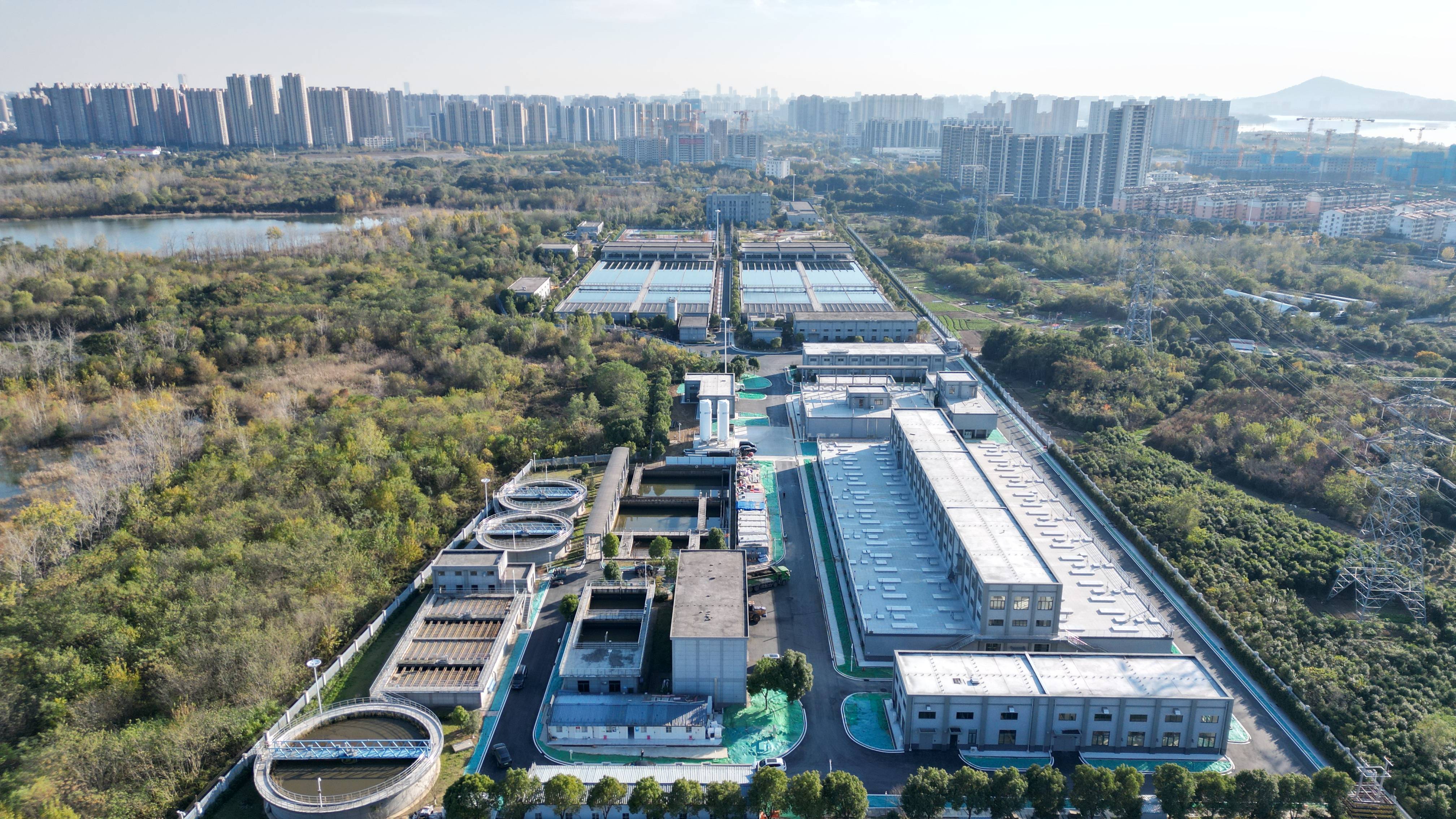 宁德市合肥专业企业价值增长(合肥市重点企业产业目录)