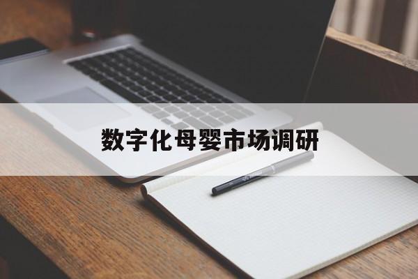 宁德市数字化母婴市场调研(数字化母婴市场调研报告)